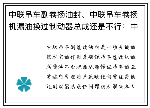 中联吊车副卷扬油封、中联吊车卷扬机漏油换过制动器总成还是不行：中联吊车副卷扬油封：解密高效密封技术