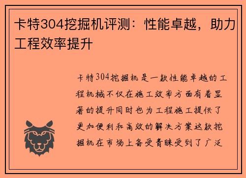 卡特304挖掘机评测：性能卓越，助力工程效率提升