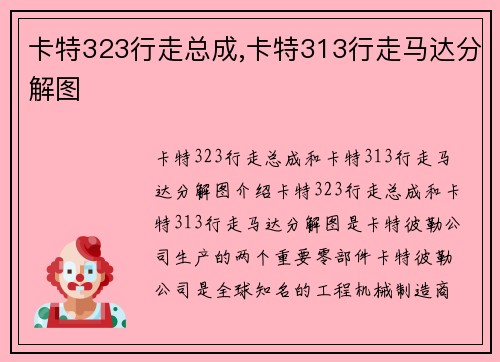 卡特323行走总成,卡特313行走马达分解图